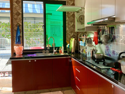 Golden Hill Estate (D19), Terrace #216604021